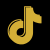tiktok icon